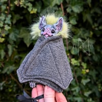 Image 3 of Pistachio Mystic Vampire Bat 