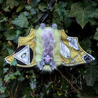 Image 5 of Pistachio Mystic Vampire Bat 