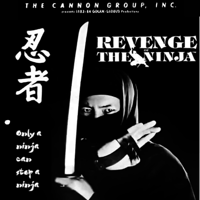 Revenge of the Ninja