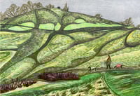 Winter’s day  Parliament Hill 2025