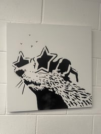 Star in their eyes Rat