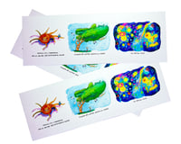 Image 1 of 29,7x10,5cm - Naître oiseau ou arbre