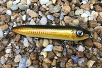 Image 4 of SPEEDBAITS Custom Airbrushed Topwater 2076