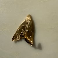 Image 1 of pollinator hook no. 1