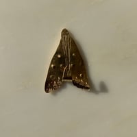 Image 2 of pollinator hook no. 1