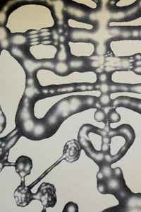 Image 2 of Stach Szumski "Decomposition Cycles" (1)