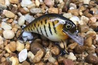 Image 3 of Custom Airbrushed S-CRANK 1.5 Squarebill Crankbait 3682