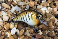 Image 2 of Custom Airbrushed S-CRANK 1.5 Squarebill Crankbait 3682