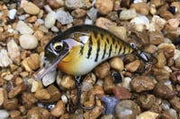 Image 4 of Custom Airbrushed S-CRANK 1.5 Squarebill Crankbait 3682