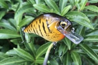 Image 6 of Custom Airbrushed S-CRANK 1.5 Squarebill Crankbait  925