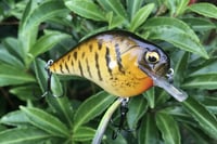 Image 7 of Custom Airbrushed S-CRANK 1.5 Squarebill Crankbait  925