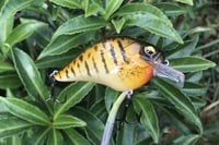 Image 8 of Custom Airbrushed S-CRANK 1.5 Squarebill Crankbait  925