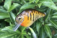 Image 10 of Custom Airbrushed S-CRANK 1.5 Squarebill Crankbait  925