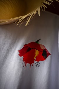 Image 2 of FLOR DE MAGA - ORIGINALS SHAPE CULTURE