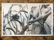 Image of NEST print