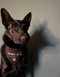 Image 2 of Bandana The Dogmother Member schwarz
