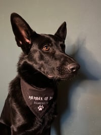 Image 3 of Bandana The Dogmother Member schwarz