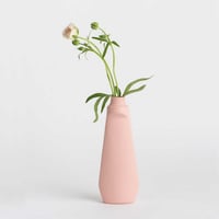 Image 1 of Bottle vase #4 rose Foekje Fleur