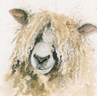 Kay Johns "Lincoln (Lincoln Longwool Sheep)"