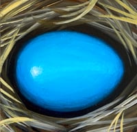  Egg Bluebird