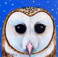 Hello Barn Owl Starry Sky