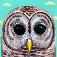  Hello Barred Owl