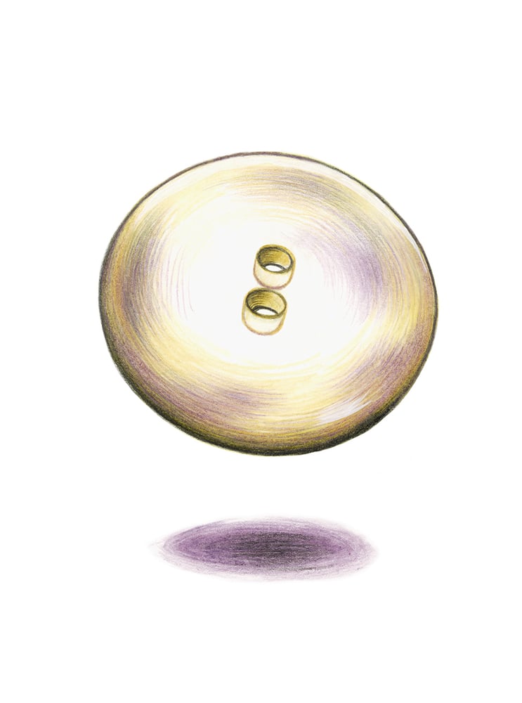 Image of Gabriella Giandelli - Crocianus livida