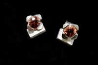 Image 1 of 4-claw Zircon rose studs in silver
