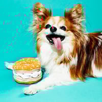 Image 1 of Jouet pour chien fait main bagel Ware of the Dog