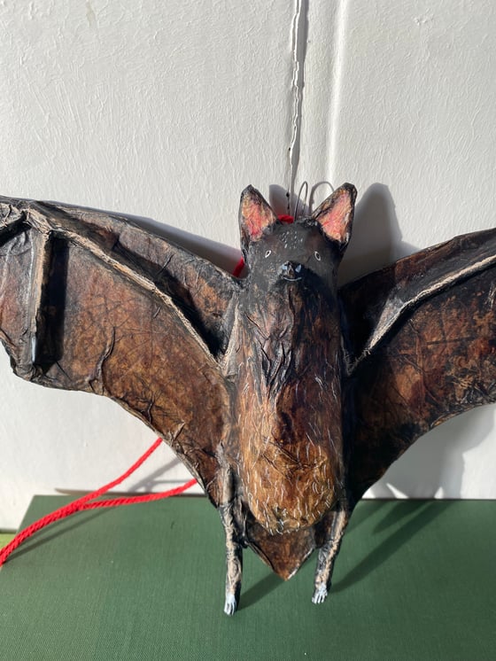 Image of Bat