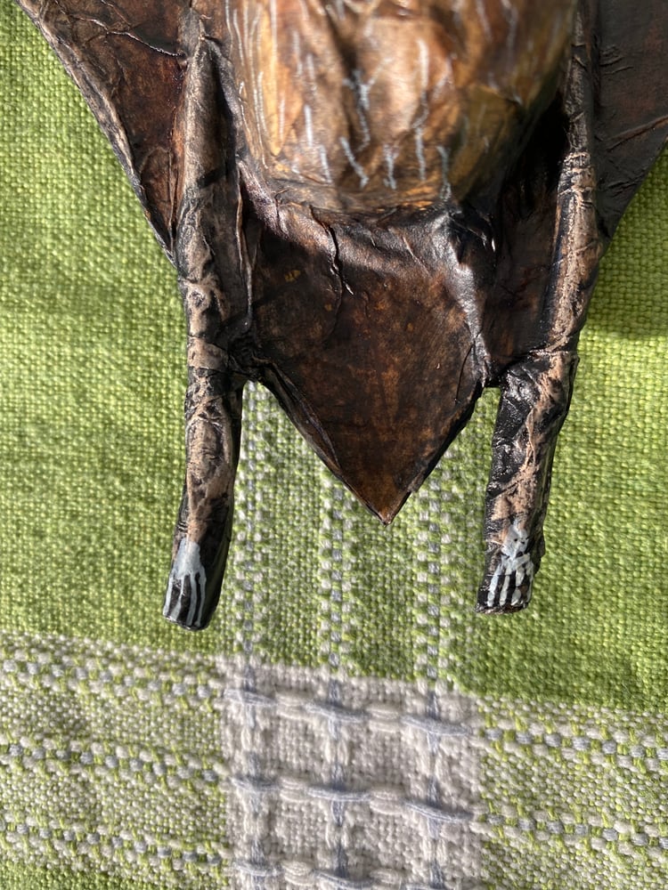 Image of Bat