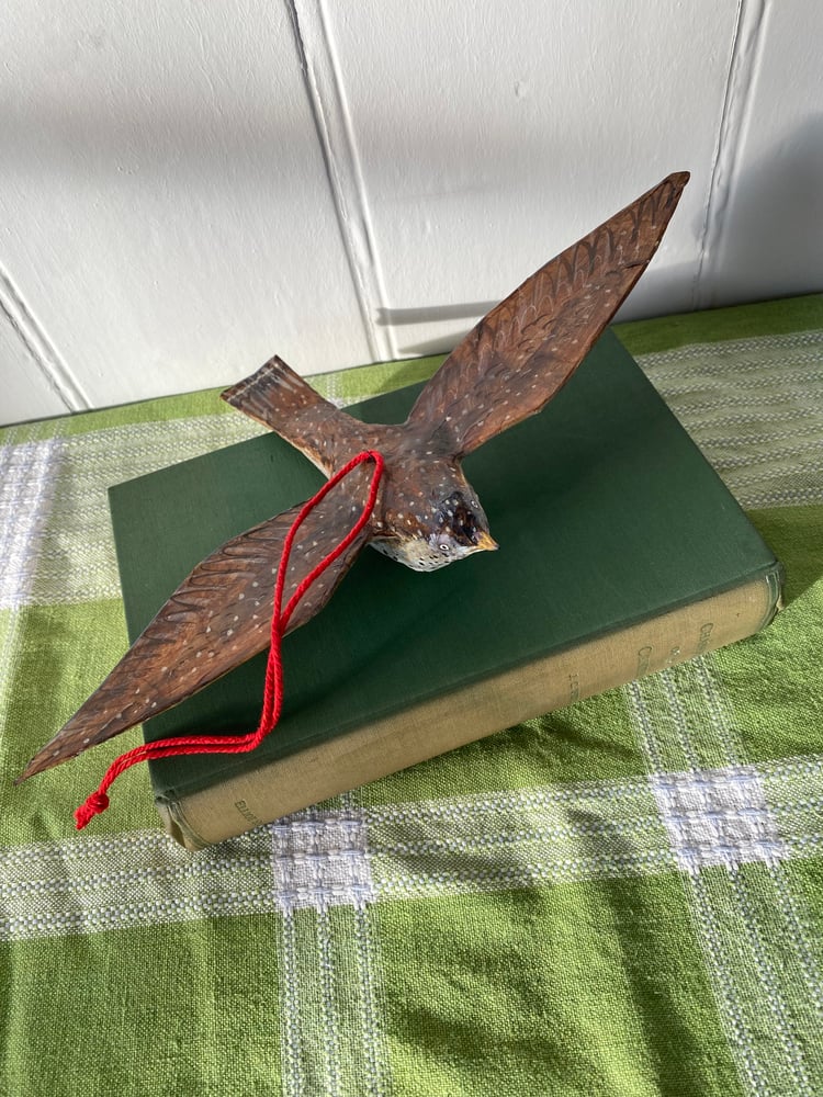 Image of Flying Thrush