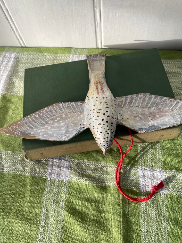 Image of Flying Thrush