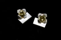 Image 1 of 4-claw green-yellow Zircon rose studs in silver