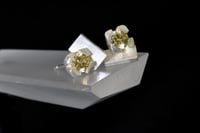 Image 4 of 4-claw green-yellow Zircon rose studs in silver