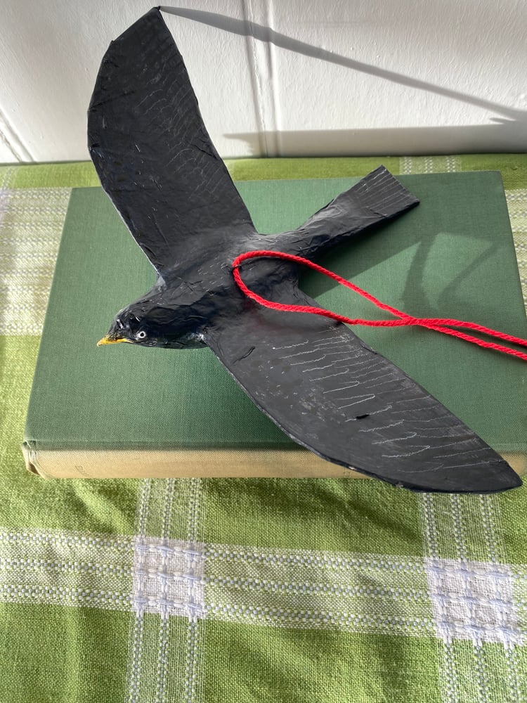 Image of Flying Blackbird