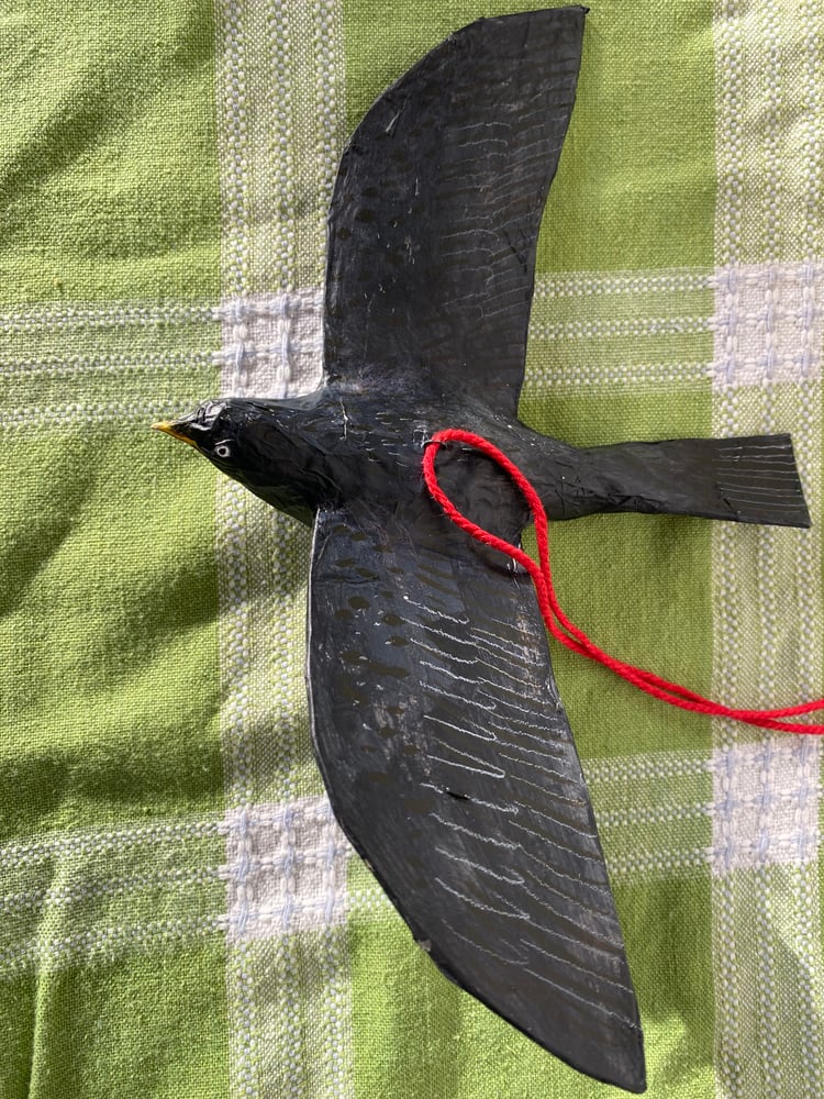 Image of Flying Blackbird