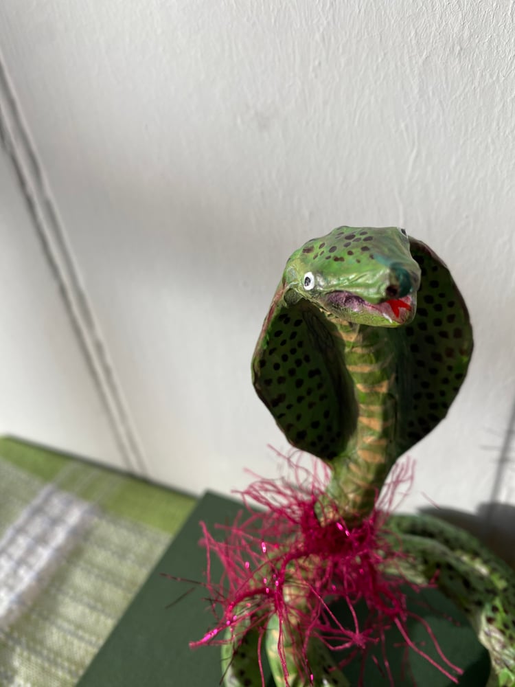 Image of Jolly Cobra