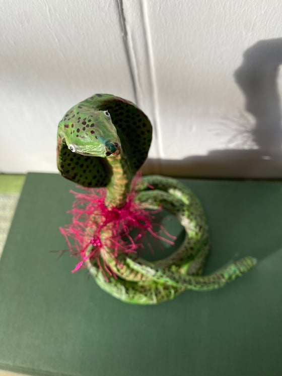 Image of Jolly Cobra