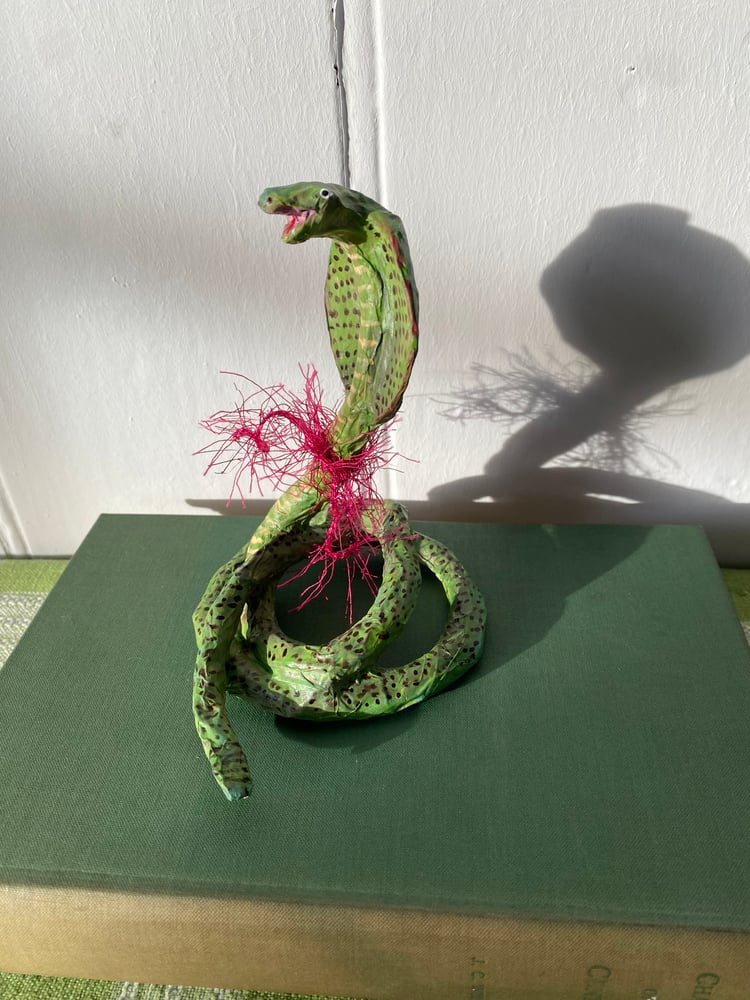 Image of Jolly Cobra