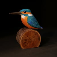 Image 3 of Kingfisher 2023