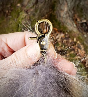 Image of Coywolf Tail