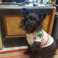 Vintage 1948 Gibson GA-30 Tube Amplifier