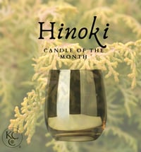 Image 7 of GARAGE SALE