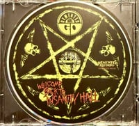 Image 3 of Demented Are Go – Welcome Back To Insanity Hall (CD) 