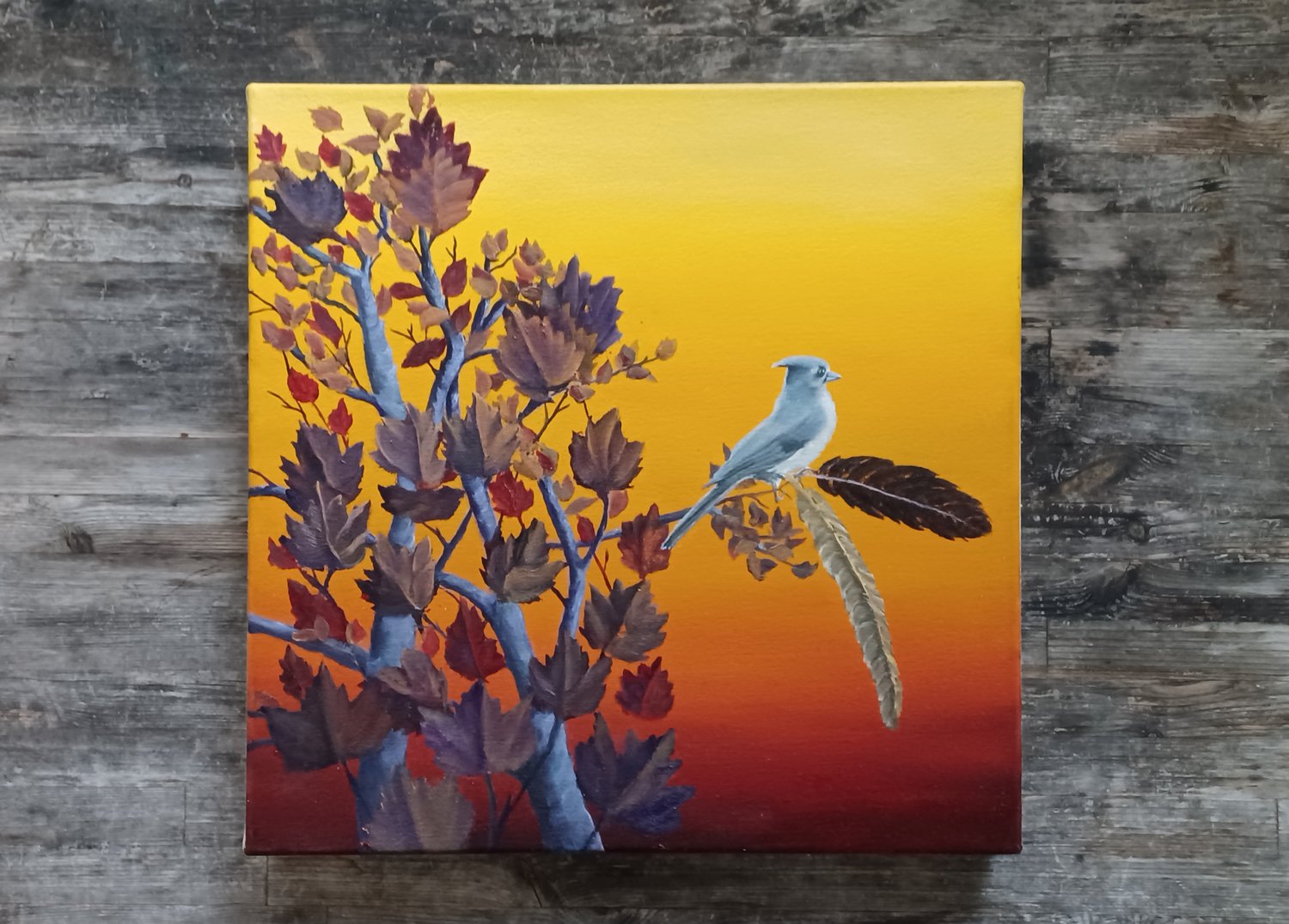 Image of The Usurper