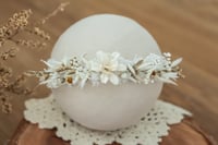 Newborn Only Halo 73