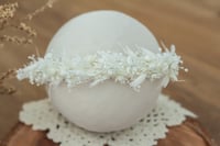 Image 2 of Newborn/Sitter Halo 79