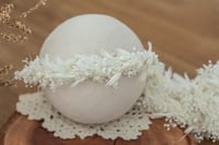 Image 1 of Newborn/Sitter Halo 79