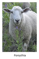 Image 2 of Tuuli Twist Yarn - worsted